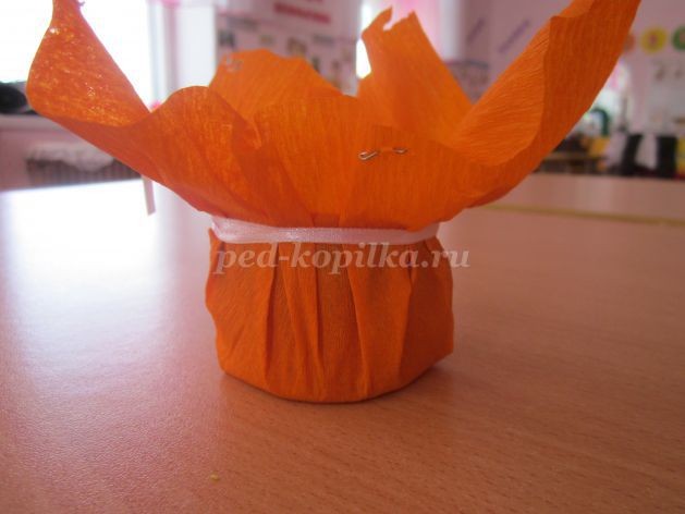 Солнышко из семян ясеня детскими руками: часть 1