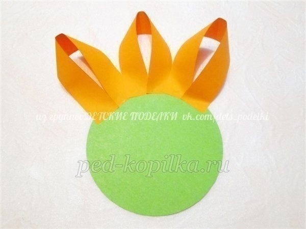 ​Зрелые подсолнушки