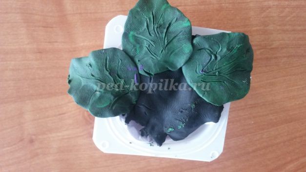 Как сделать цветы фиалки из пластилина Как сделать цветы фиалки из пластилина