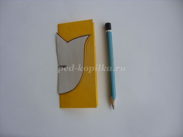 Объёмная открытка "Тюльпан": мастер-класс, часть 1