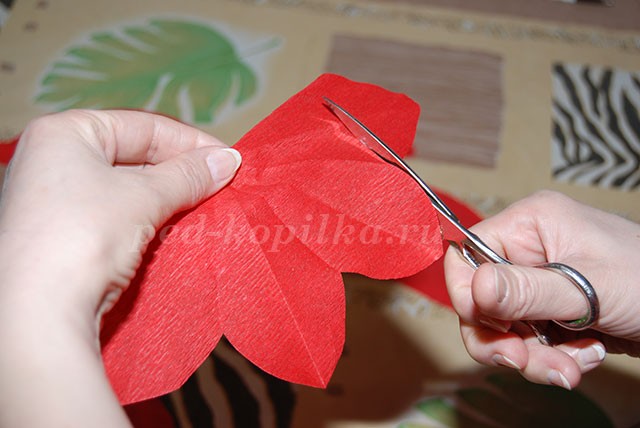 ​Цветы из крепированной бумаги: часть 1