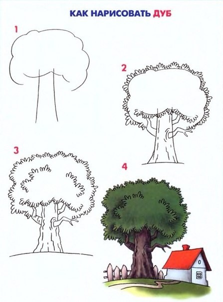 Рисуем с малышами деревья и листья