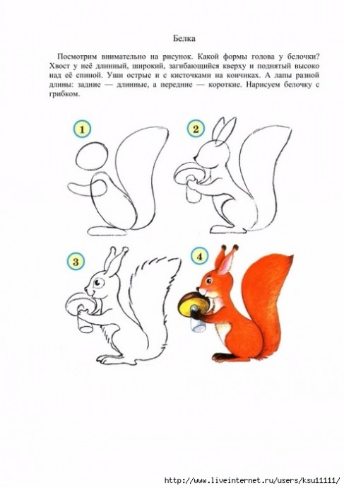 Уроки рисования: белки, ежики, слоники и зайчишки Уроки рисования: белки, ежики, слоники и зайчишки