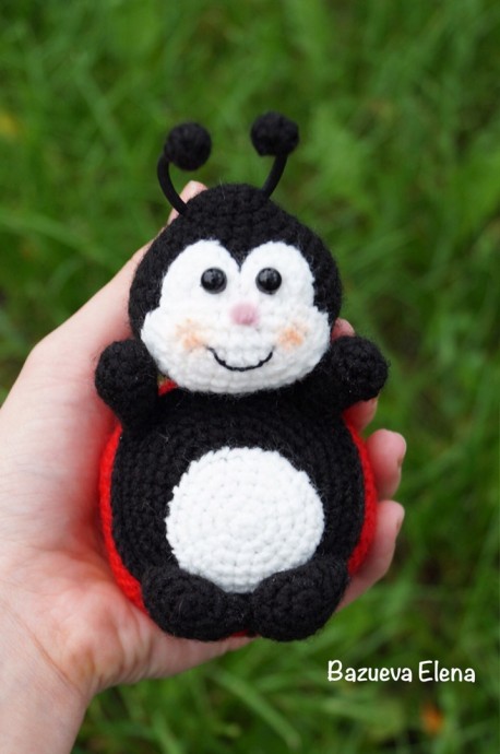 ​Божья коровка