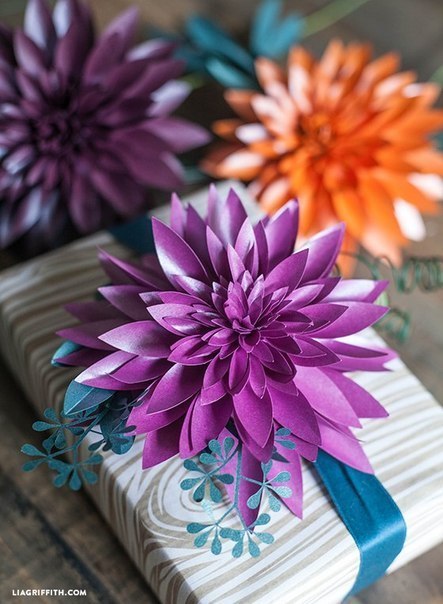 Гeоргины из бумaги Гeоргины из бумaги