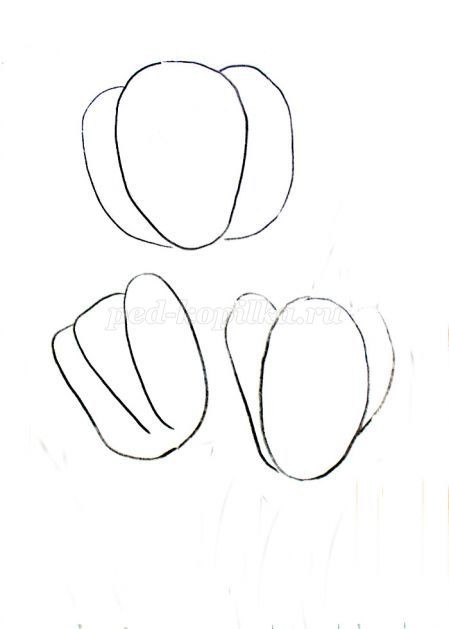 Как нарисовать тюльпаны гуашью: часть 1