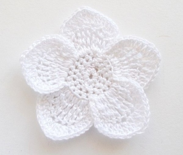 Красивый и нежный цветок