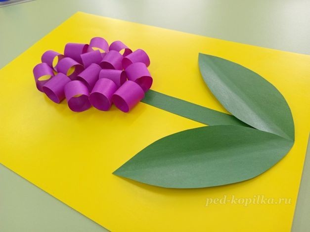 Цветок гиацинт: часть 3