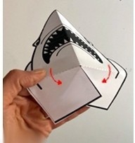 ​Объёмная акула