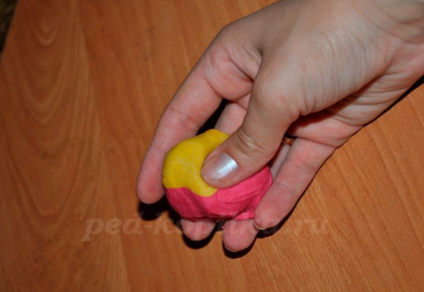 Розы из соленого теста: мастер-класс Розы из соленого теста: мастер-класс