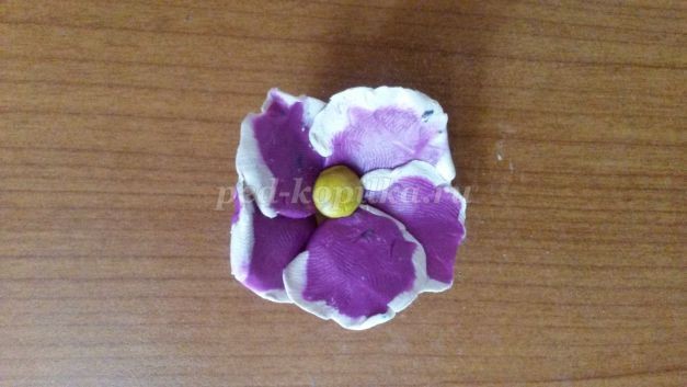 Как сделать цветы фиалки из пластилина Как сделать цветы фиалки из пластилина