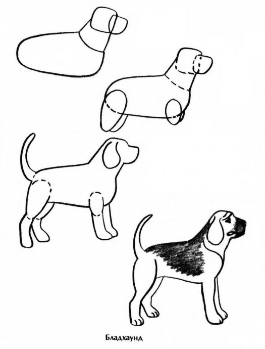 ​Рисуем с детьми собачек