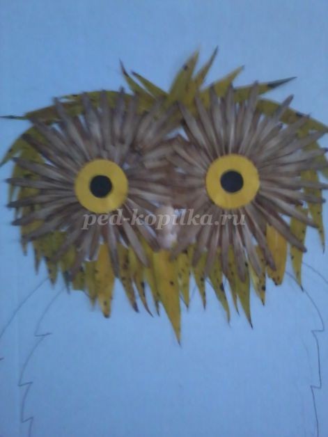 ​Совушка-сова из крылатки клёна: часть 2