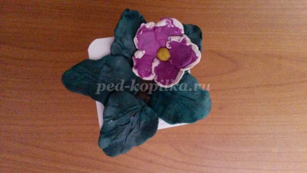 Как сделать цветы фиалки из пластилина Как сделать цветы фиалки из пластилина