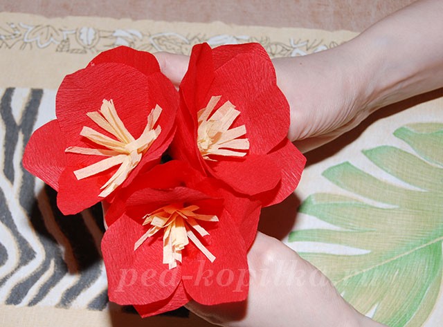 Цветы из крепированной бумаги: часть 2 Цветы из крепированной бумаги: часть 2