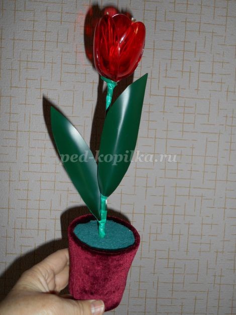 Красные тюльпаны из пластиковых ложек: часть 2 Красные тюльпаны из пластиковых ложек: часть 2