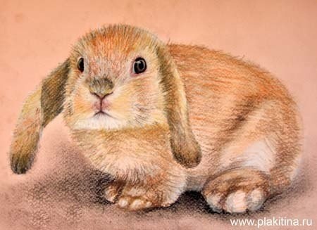 Рисуем зайца Рисуем зайца