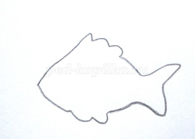 ​Аквариум с использованием природного материала