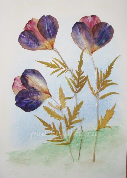 Цветочное чудо Цветочное чудо