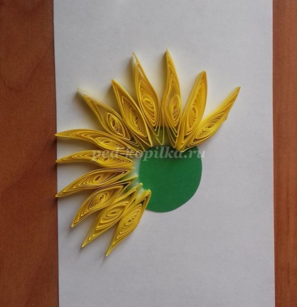 Аппликация "Подсолнух" в технике квиллинга: мастер-класс, часть 1
