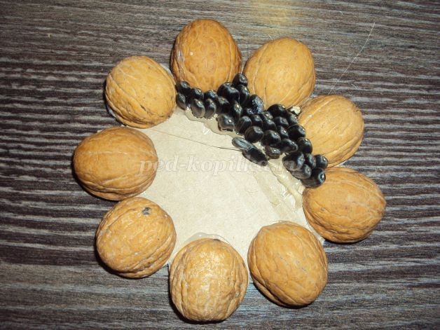 Подсолнух из природного материала: мастер-класс Подсолнух из природного материала: мастер-класс