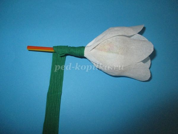 Букет из конфет чупа чупс: мастер-класс, часть 1 Букет из конфет чупа чупс: мастер-класс, часть 1