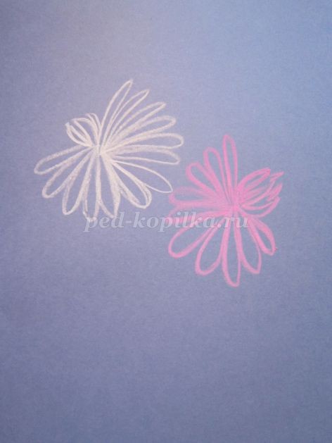 ​Как нарисовать астры в вазе: часть 1