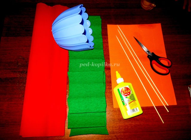 Цветущий амариллис Цветущий амариллис