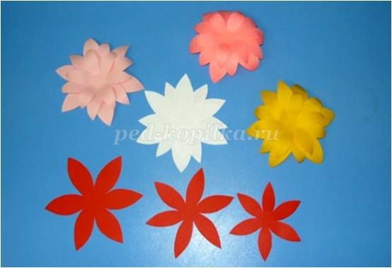 Цветы из бумаги: мастер-класс
