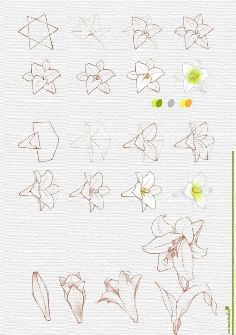 ​Рисуем с детьми цветы
