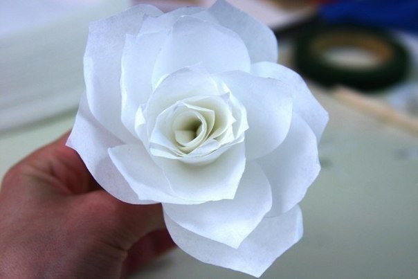 ​Роза из белой бумаги с разукрашенными краями