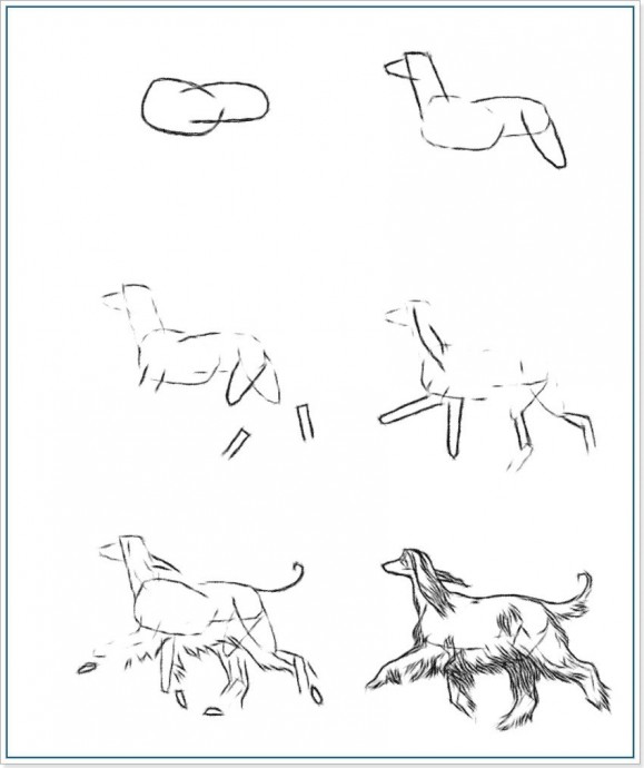 Учимся с детьми рисовать разные породы собачек
