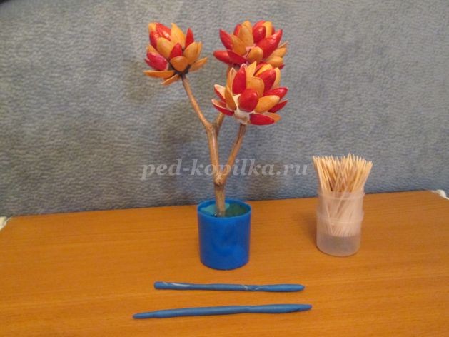 Топиарий из природного материала для детского сада: часть 2