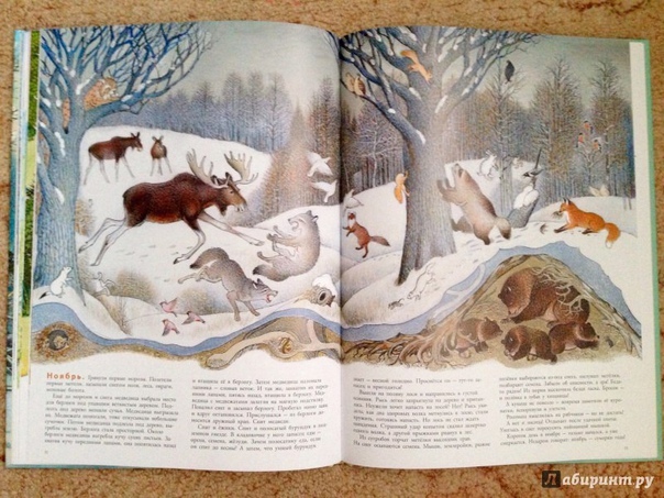 3D поделка "Жизнь леса"