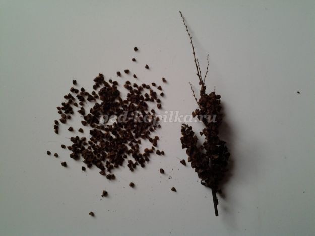 Аппликация из листьев: кораблик Аппликация из листьев: кораблик