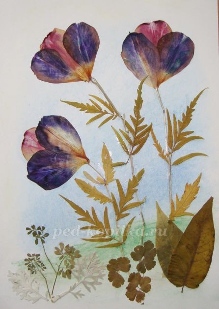 Цветочное чудо Цветочное чудо