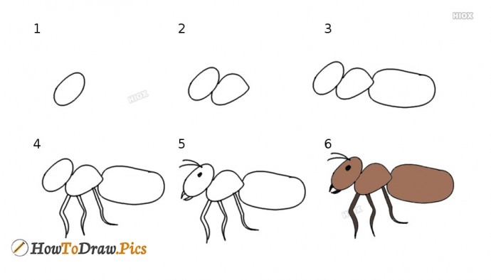 ​Как нарисовать муравья