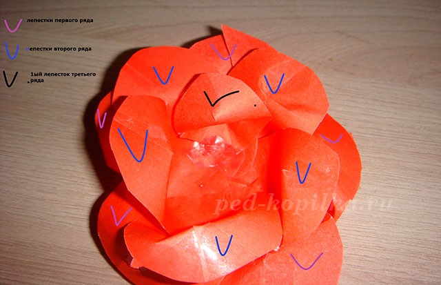 Роза из бумаги: мастер-класс