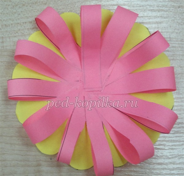 Цветы из бумаги Цветы из бумаги