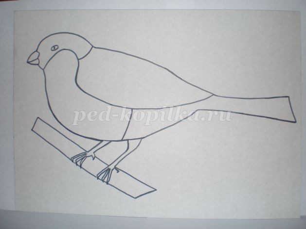 Пластилинография "Снегирь зимой": часть 1