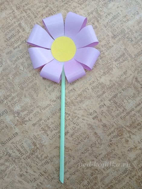 Цветок космеи: часть 2 Цветок космеи: часть 2