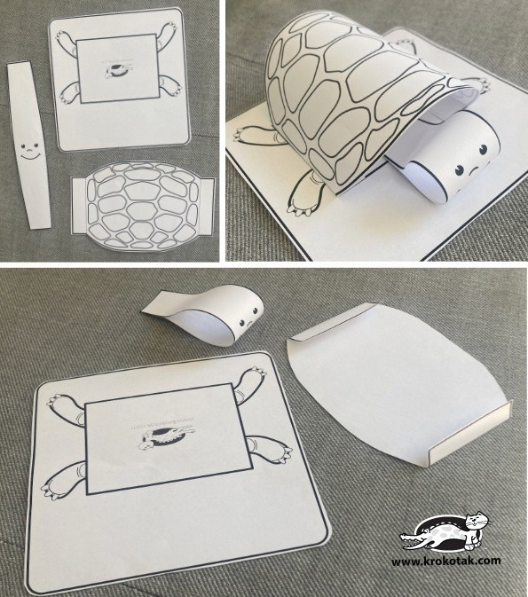 Объёмная черепашка Объёмная черепашка