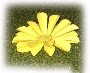 ​Огромные цветочки