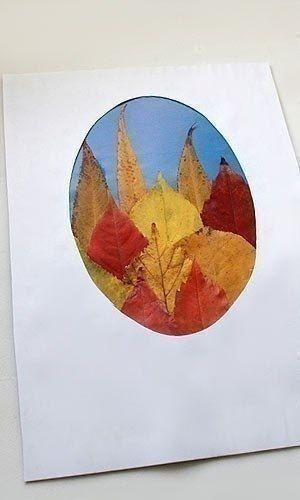 ​Осенняя открытка из листьев