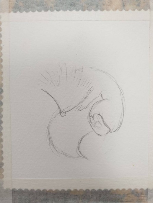 Рисуем ежика в норке Рисуем ежика в норке