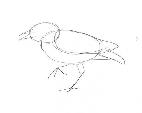 ​Рисуем птичку