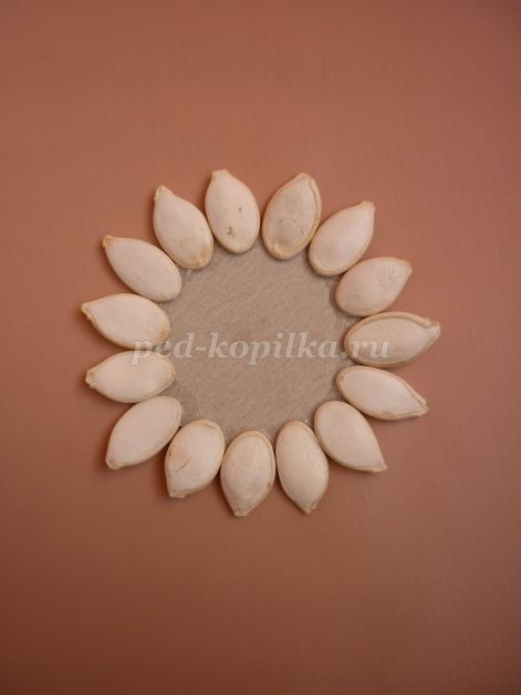 Цветы из тыквенных семечек детскими руками: мастер-класс Цветы из тыквенных семечек детскими руками: мастер-класс