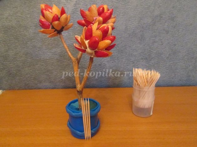 Топиарий из природного материала для детского сада: часть 2