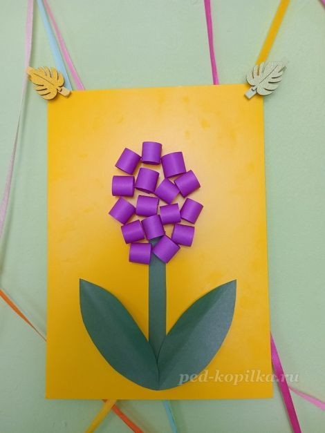 Цветок гиацинт: часть 3