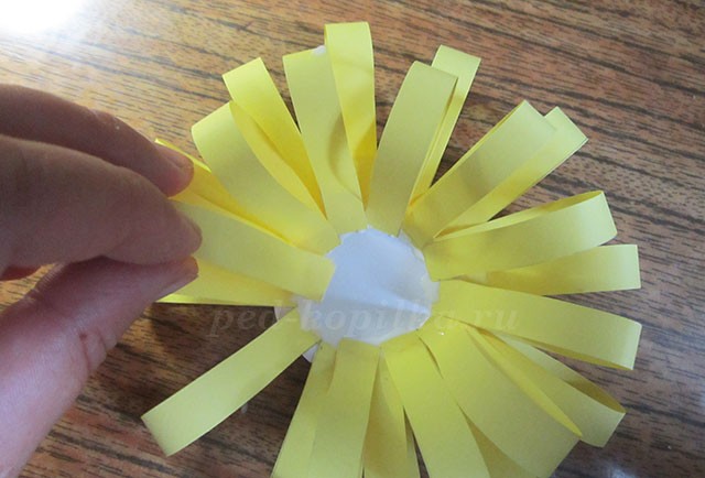 Цветы из бумажных полосок Цветы из бумажных полосок